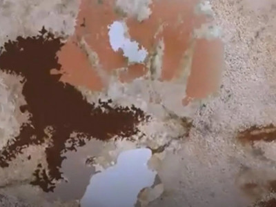 Адам салған ең көне сурет табылды