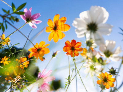 Қазгидромет еліміздің басым бөлігінде күн жауын-шашынсыз болатынын хабарлады