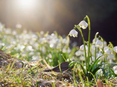 26 наурыз күні ауа райы қандай болады?