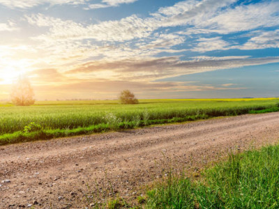 Құны – 52 млн: Степногорскте 1500 гектар жер мемлекет меншігіне қайтарылды