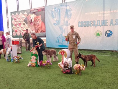 Ұлттық ұланның қызметтік иттері «A.SIRIUS 2026» көрмесінде үздік нәтиже көрсетті