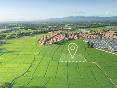 Жамбыл облысында инвесторға жер бермегендер жауапқа тартылды