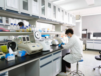 Үкімет: Қазақстанда 303 ғылыми зертхана жұмыс істеп тұр