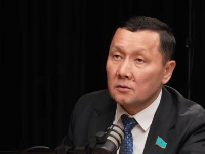 Ішкі істер органдарын негізсіз сыннан қорғау қажет – депутат