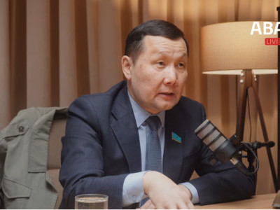 Ішкі істер органдарын негізсіз сыннан қорғау қажет – депутат