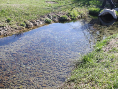 9 мыңнан астам қазақстандық «Мөлдір бұлақ» акциясына қатысты