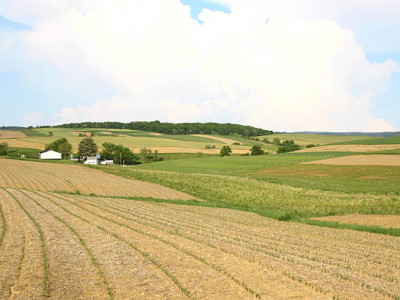 Қазақстан ауыл шаруашылығы алқаптары бойынша үздік 6 елдің қатарына енді