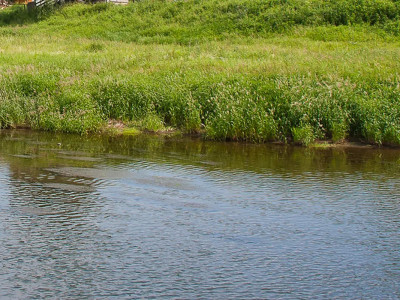 Түркістан облысында 2 жастағы баланы ағыс алып кеткен