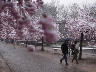 Қазгидромет ауа райына байланысты маңызды ескерту жасады