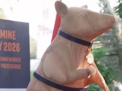 Камбоджада егеуқұйрыққа ескерткіш қойылды