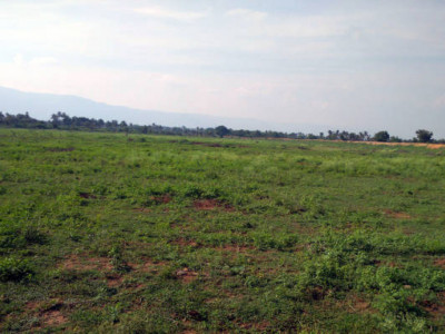 Ақтөбеде 1,9 гектар жер телімі мемлекет меншігіне қайтарылды