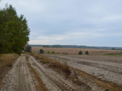 «Медеу» паркімен шекаралас 288 гектар жер мемлекетке қайтарылды