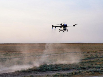 Шегірткеге қарсы күресте 100-ден астам дрон пайдаланылмақ