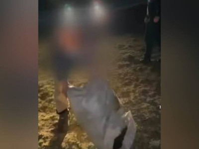 Қызылорда тұрғыны Ақтөбеден мал ұрлаған