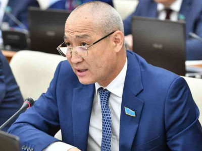 "41 мыңнан астам адамды ит қапқан": депутат заңды күшейтуді ұсынды