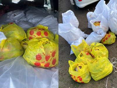 БҚО-да заңсыз ауланған 400 келіге жуық балық тәркіленді