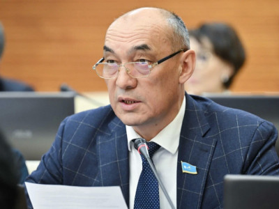 Қант қызылшасы далада шіріп, пияз өтпей қалды: депутат Үкіметке сауал жолдады