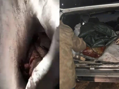 Павлодар облысында 15 келі балықты заңсыз аулаған тұрғын ұсталды