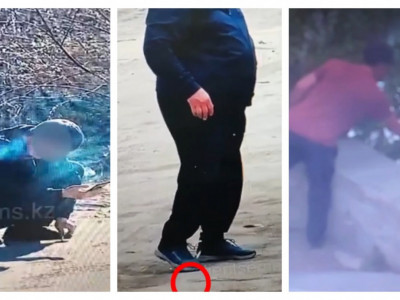 «Таза Қазақстан» акциясы аясында Абай облысында 4 194 құқықбұзушылық тіркелді