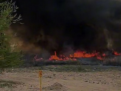 Қонаев қаласындағы бір гектар аумақта қамыс өртенді