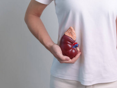 Қазақстанда 4,6 мың адам донор кезегін күтіп жүр – министрлік