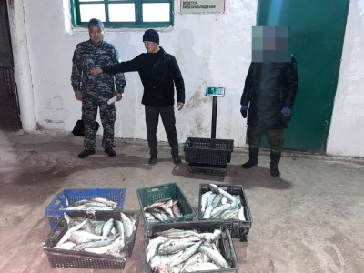 Балқаш көлінде браконьерден 79 келі балық тәркіленді