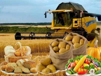 Азық-түлік өндірісі 665 млрд теңгеден асты