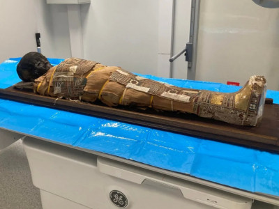 2 000 жылдық Египет мумиясынан жасырын зат табылды