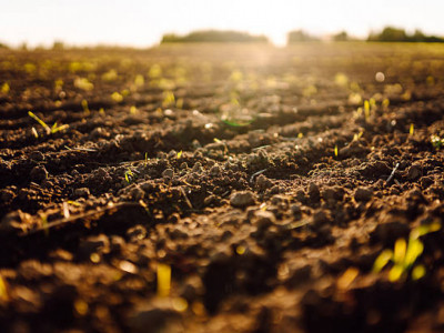 Жамбыл облысында құны 22 млн теңге тұратын жер телімі мемлекет меншігіне қайтарылды