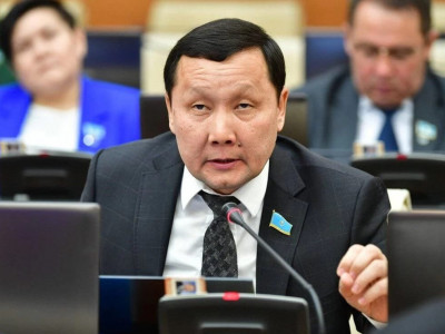 Манипуляция алға шықты: депутат жануарларға жауапкершілікпен қарау туралы заң жобасына қатысты үндеу жасады
