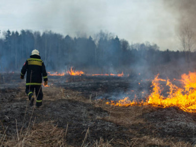 ТЖМ өрт қауіпті кезеңде қауіпсіздік шараларын сақтауға шақырды