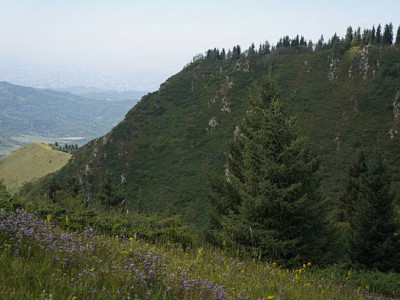 Іле Алатауының бөктеріндегі жер телімі мемлекетке қайтарылды
