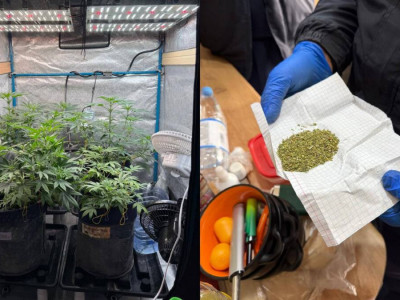 ШҚО-да заңсыз жұмыс істеген зертхананың қызметі тоқтатылды