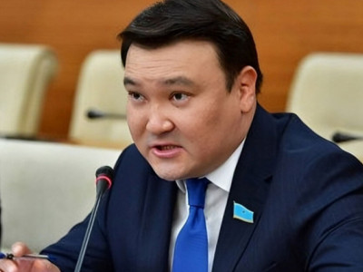 Депутат: Бұралқы иттер мәселесінде адам қауіпсіздігі – бәрінен жоғары