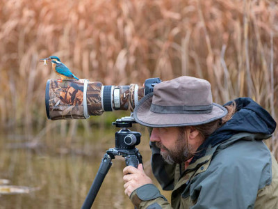 Қатонқарағай ұлттық паркінде жануарлар фототұзаққа түсіп қалды