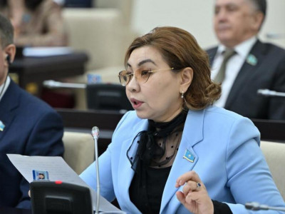 Бибігүл Жексенбай курьерлер мен такси жүргізушілерінің құқығын қорғау мәселесін көтерді