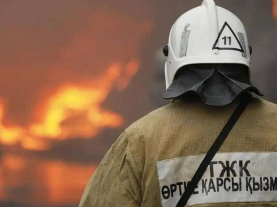 Тілсіз жауды қалай тізгіндейміз?