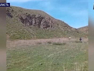 Абай облысында шетелдік азаматтың мәйіті табылды