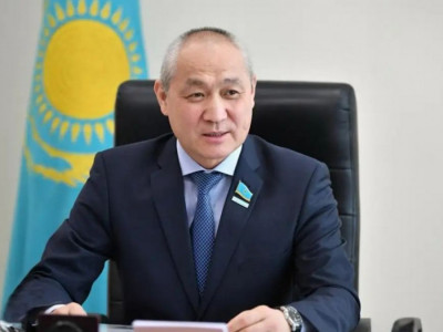 "Бұл – цирк емес, қоғамның дауысы": Депутат Ақтаудағы бұралқы иттер мәселесіне қатысты жиын туралы