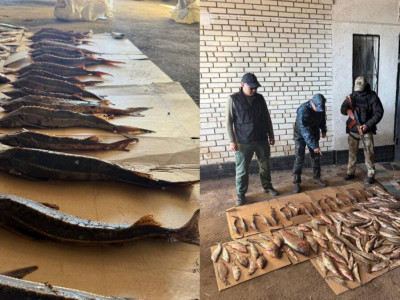 Батыс Қазақстанда 273 келі балық аулаған азамат ұсталды