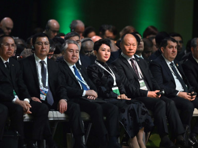 БҰҰ Жарғысындағы қағидаттарды өз ыңғайымызға қарай қолданудан аулақ болуымыз қажет – Президент