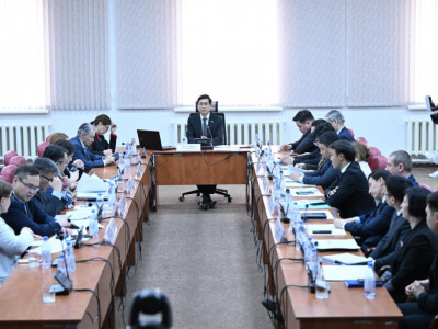 Мәжіліс депутаттары есірткіге, алкогольге тәуелділікті емдеу мәселелерін талқылады