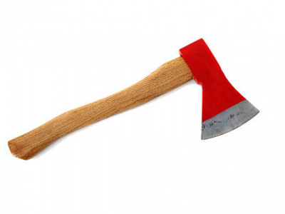 Алматыда қыз бала мектепке балта ұстап келген