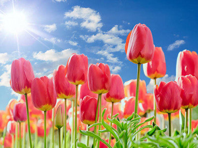 Қазақстанда күн +34 градусқа дейін жылиды