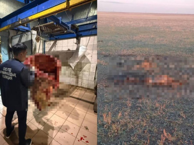 Ет сатып алған тұрғын мал ұрлағандарды ұстап берді