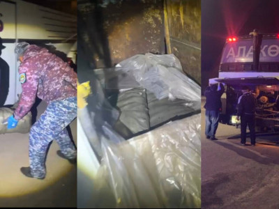 Жетісуда 4 қап балық аулаған зейнеткер ұсталды