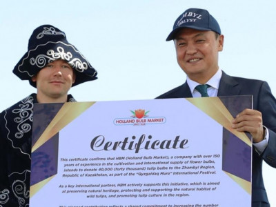 Нидерланд Корольдігі Жамбыл облысына 40 мың түп қызғалдақ сыйлады