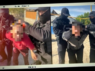Даладан жүк көлігіне тиеп әкеткен: Алматыда жүзден астам мал ұрлағандар ұсталды