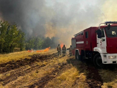 Шығыс Қазақстанда орман өртеніп жатыр