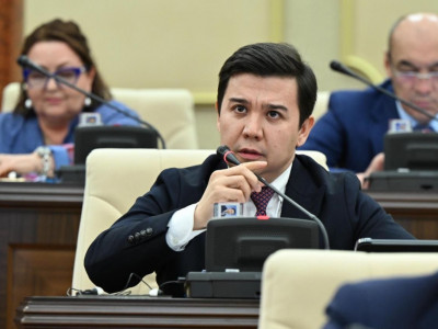 «Жолдама қымбат, сапасына кепілдік жоқ»: Депутат балалар лагерьлерін сынға алды